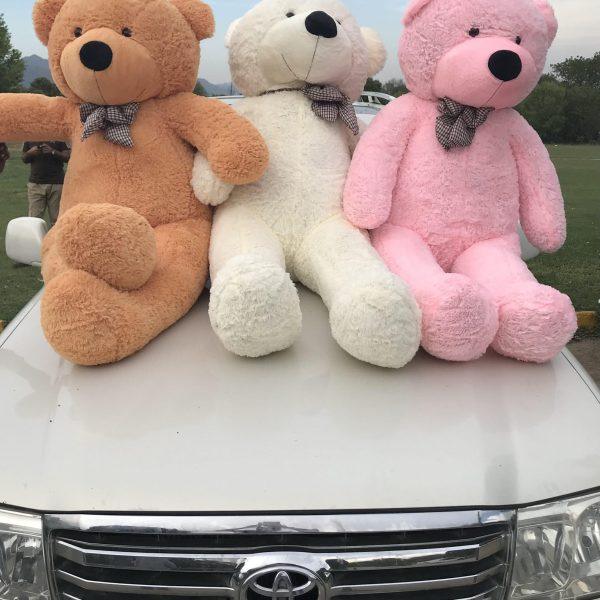 6 Feet Teddy Bear